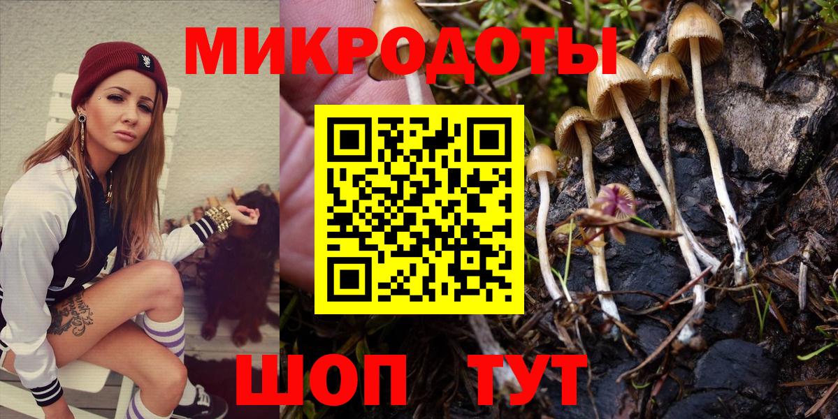 Псилоцибиновые грибы Psilocybe  Псилоцибиновые грибы Cubensis  Вход с VPN  Алексеевка 