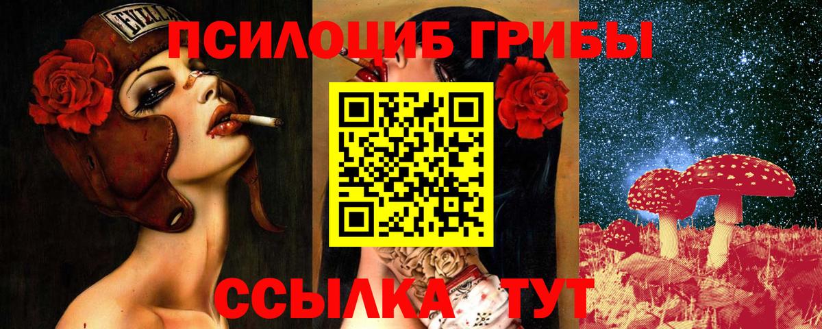 Галлюциногенные грибы прущие грибы Алексеевка